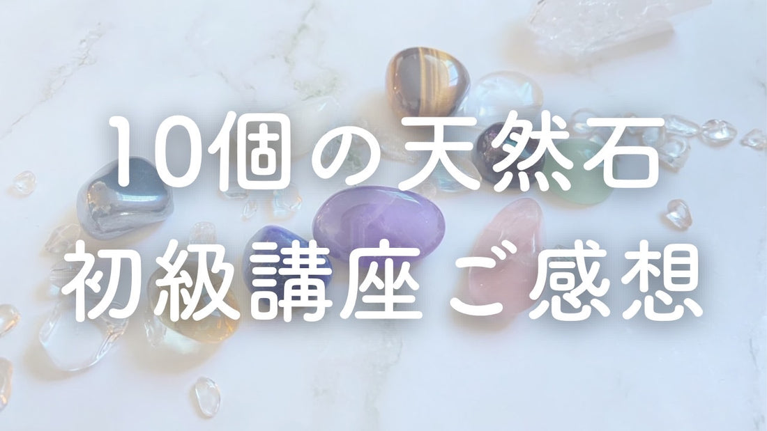 皆様からの講座のご感想