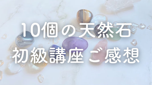 皆様からの講座のご感想