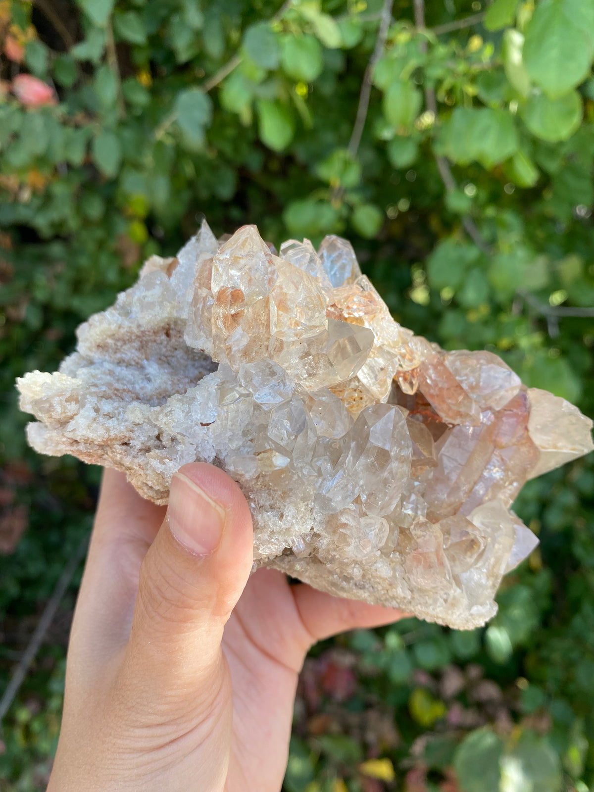 Capa saco quartz F(キャパサコ水晶)