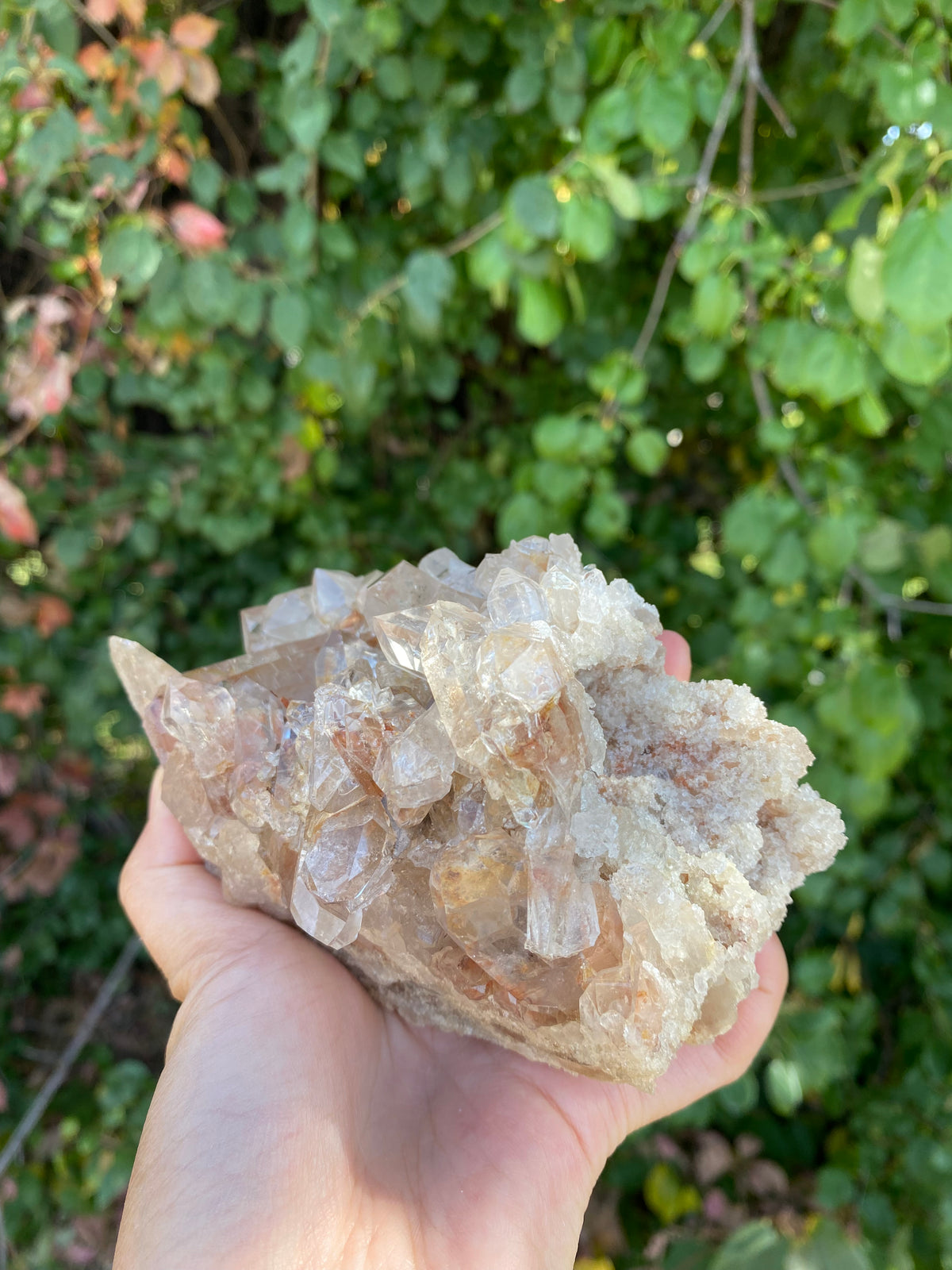 Capa saco quartz F(キャパサコ水晶)