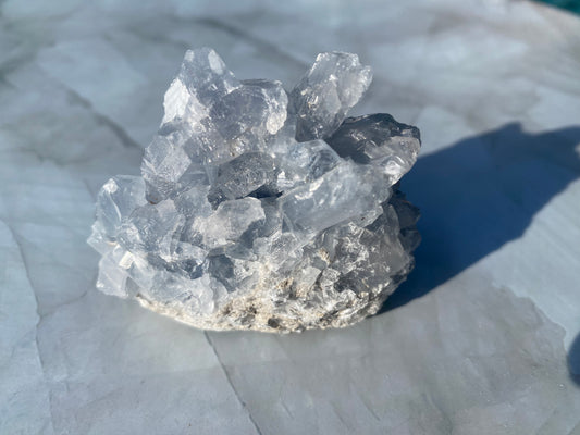 Celestite D-1 (セレスタイト)